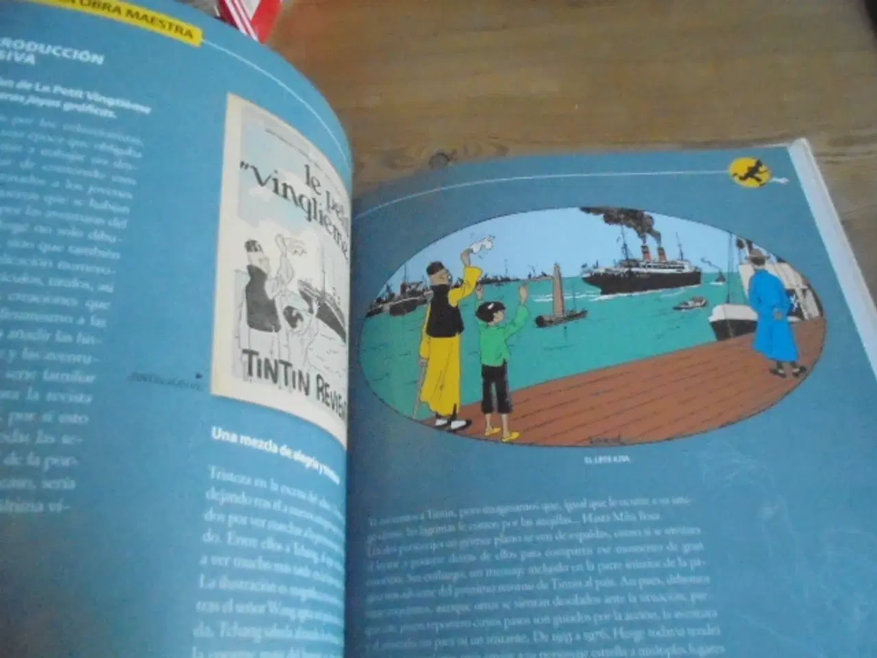 Billede 4 - En lille Tintin-lot – se fotos og omtale  