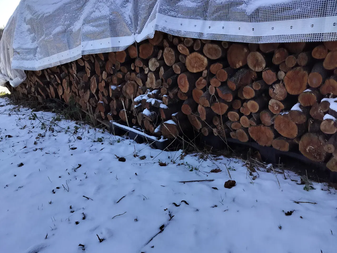 Billede 2 - brænde sælges 500 kr pr rum tlf 30201397