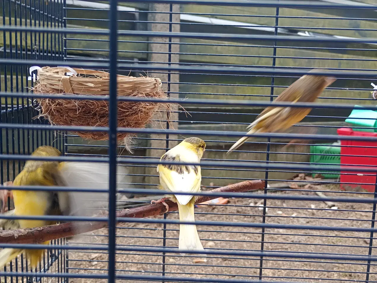 Billede 7 - Blandet farver/kobber