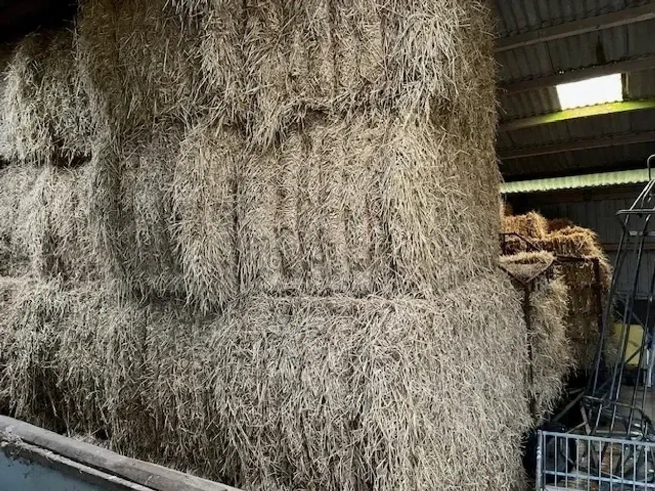 Billede 1 - halm