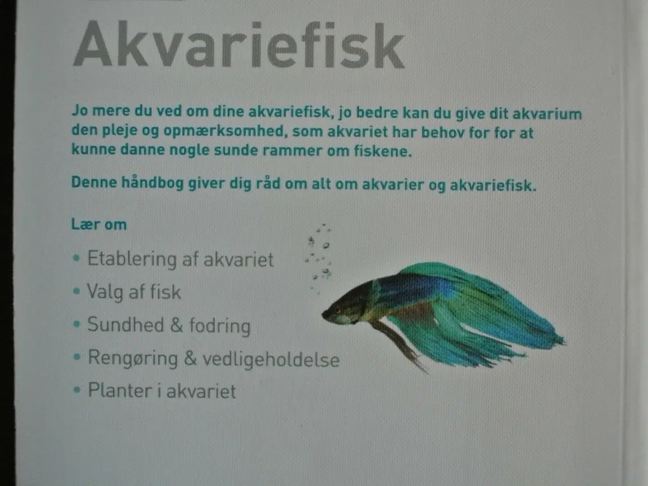 Billede 4 - akvariefisk - opsætning og vedligeholdelse af det 