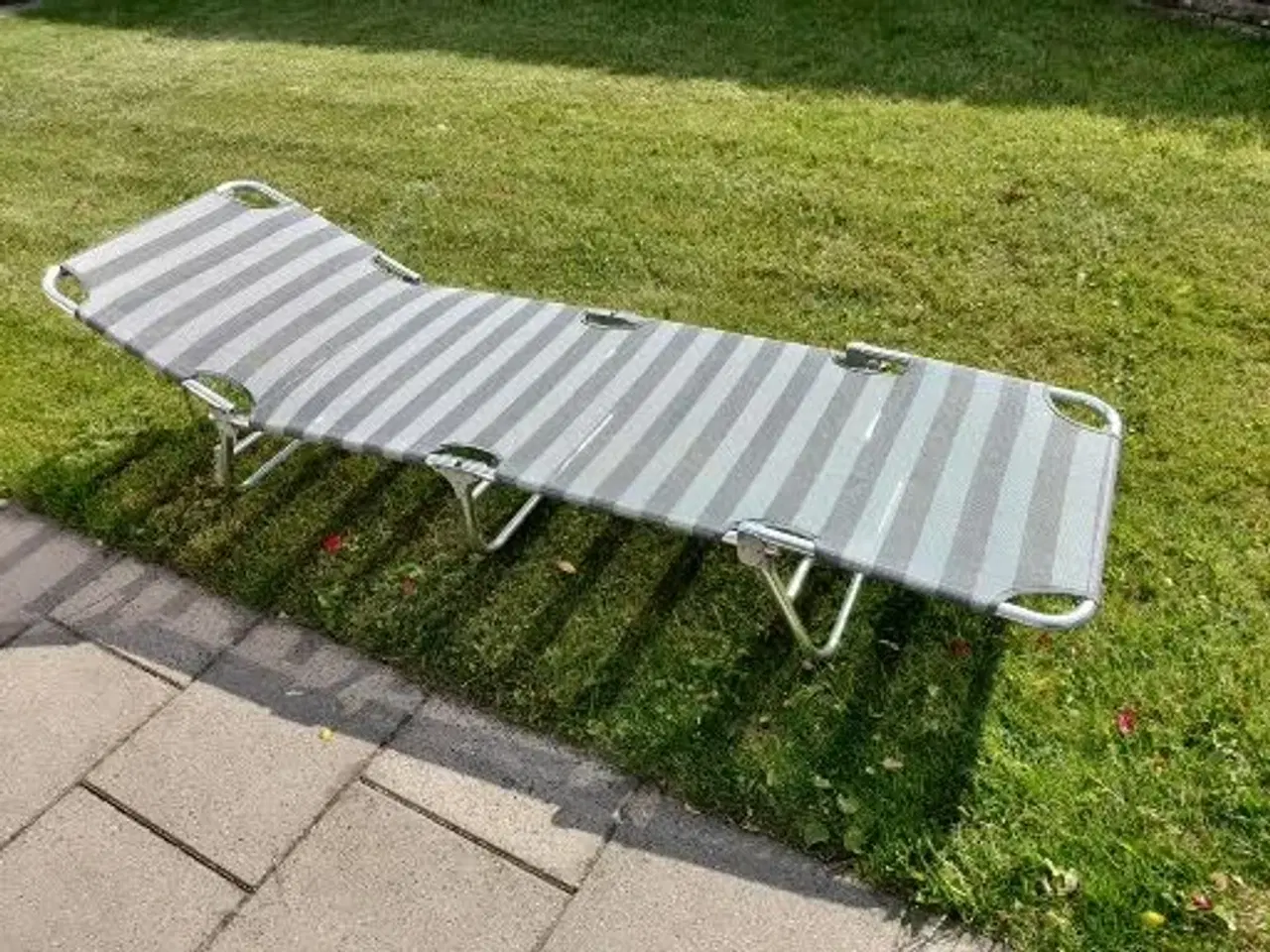 Billede 1 - Strandsolseng