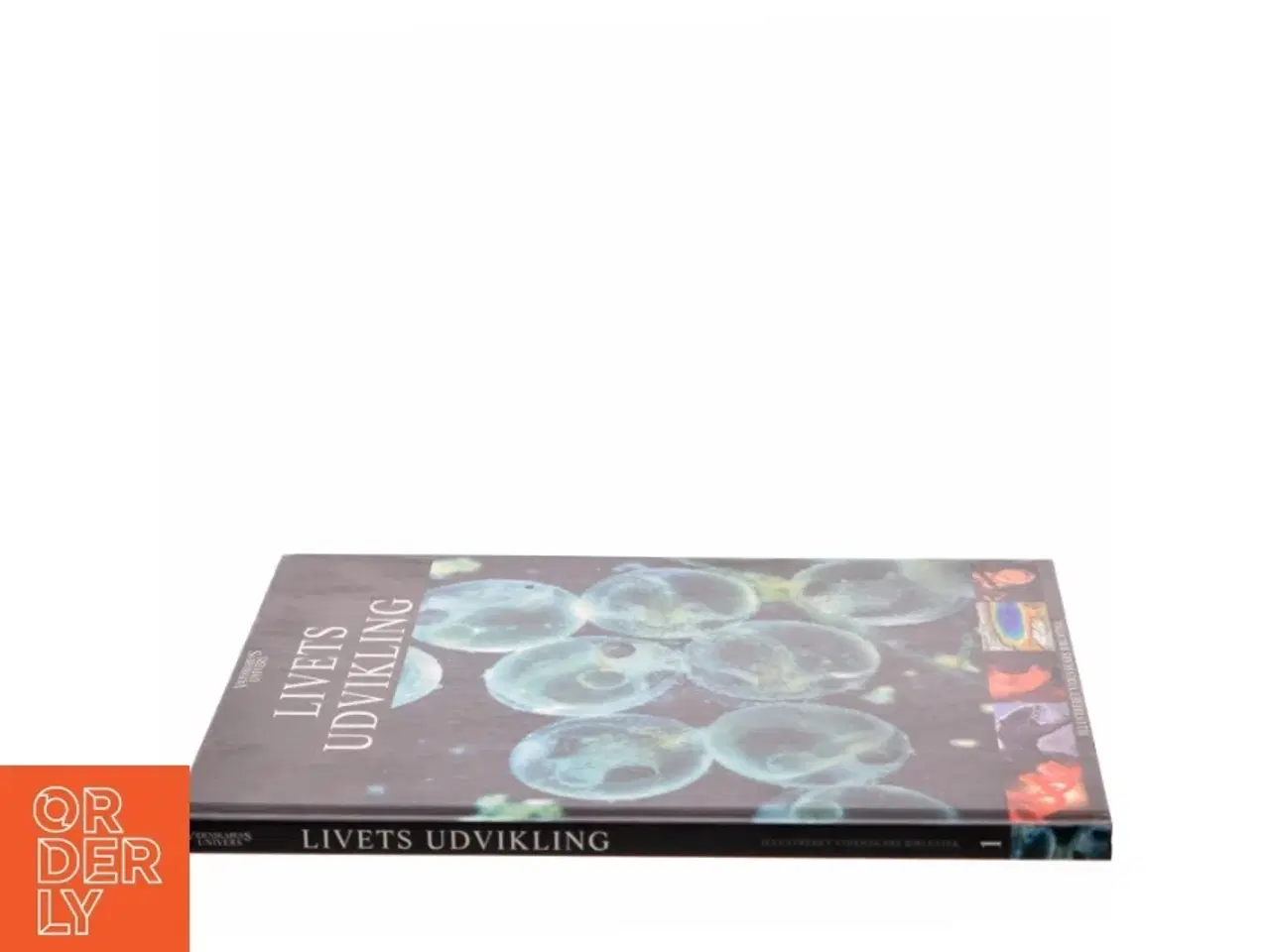 Billede 2 - Livets udvikling (Bog)