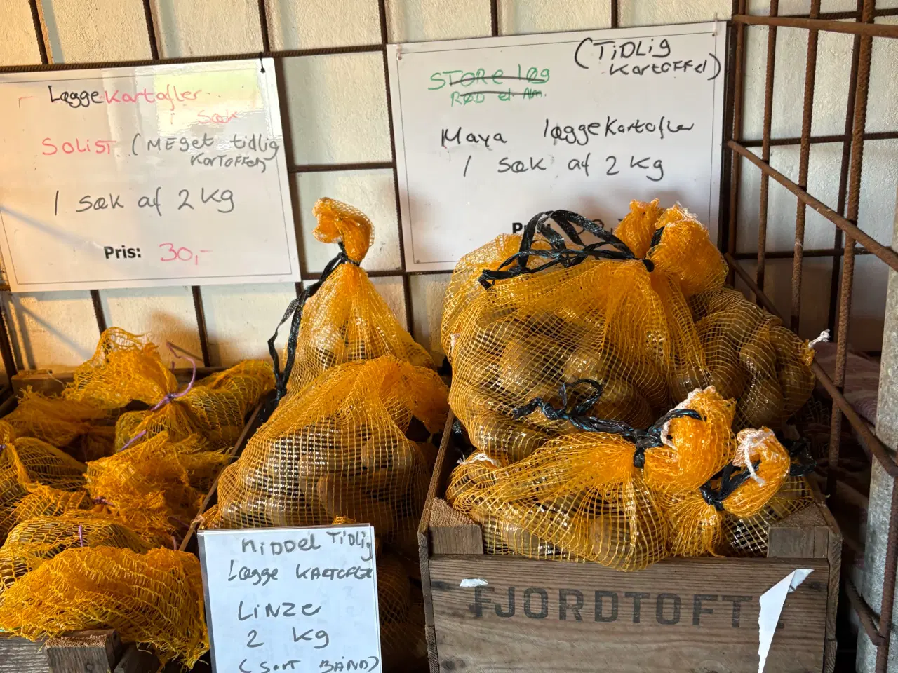 Billede 1 - Læggekartofler