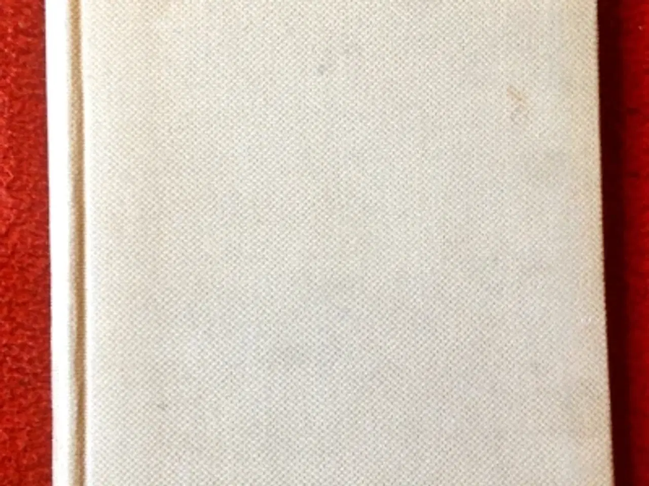 Billede 1 - Vilhelm Bergsøe: Pigesorger