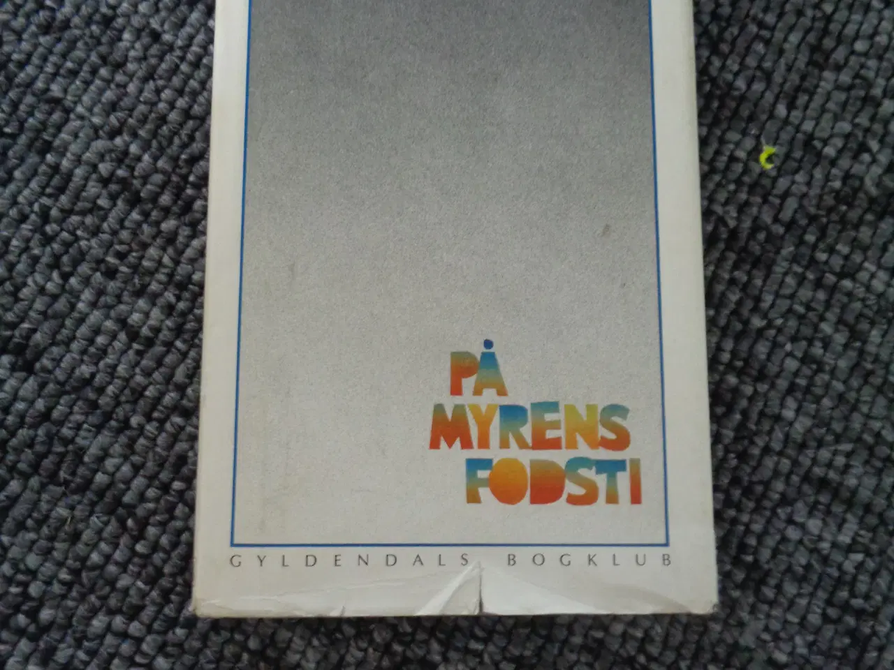 Billede 1 - På myrens fodsti
