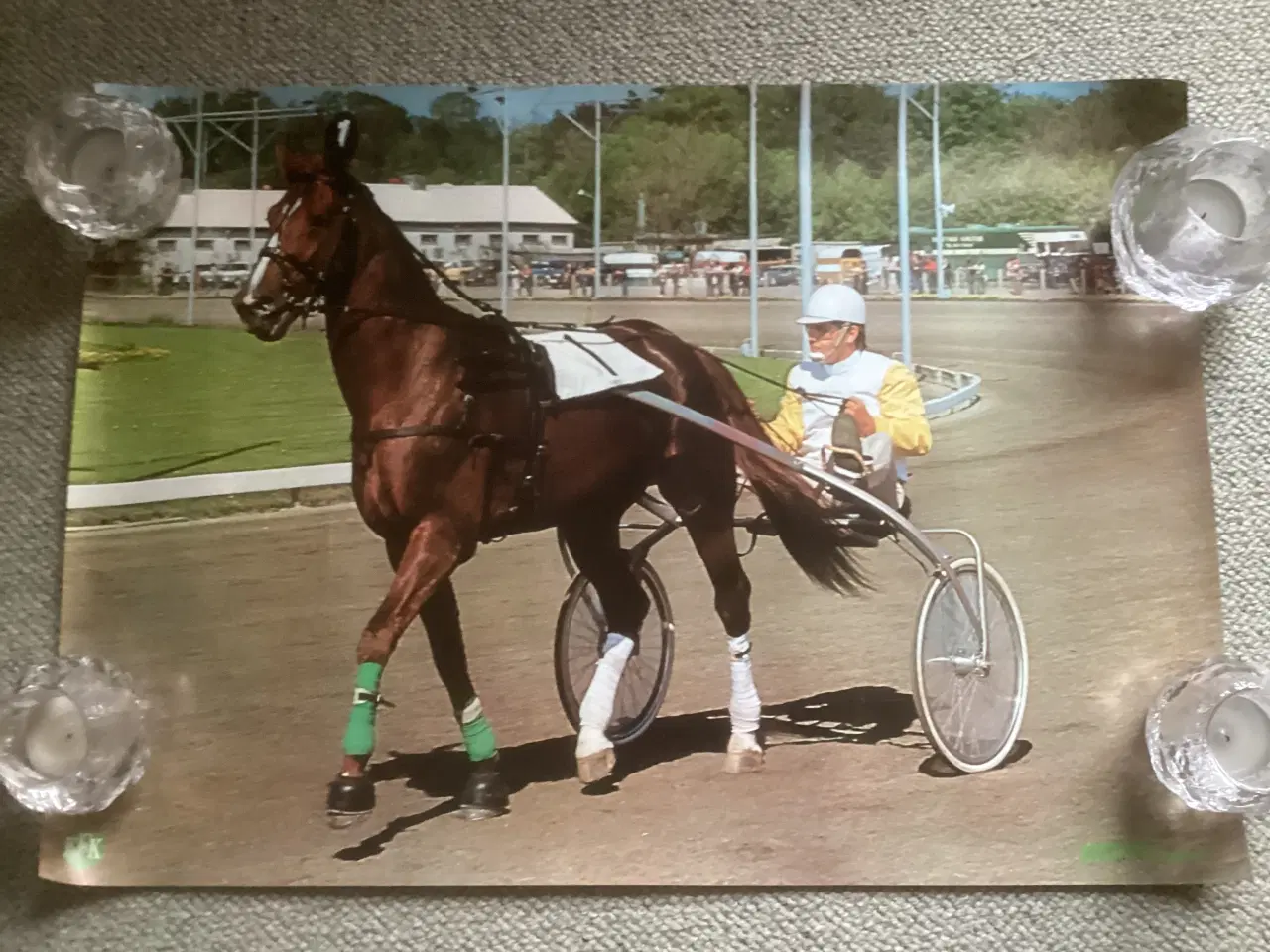 Billede 1 - Hesteplakat med Tarok