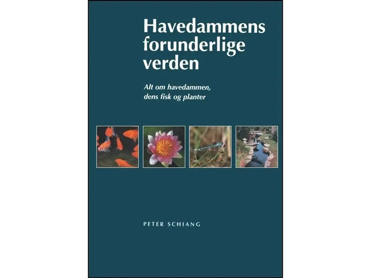 Billede 1 - Havedammens forunderlige Verden