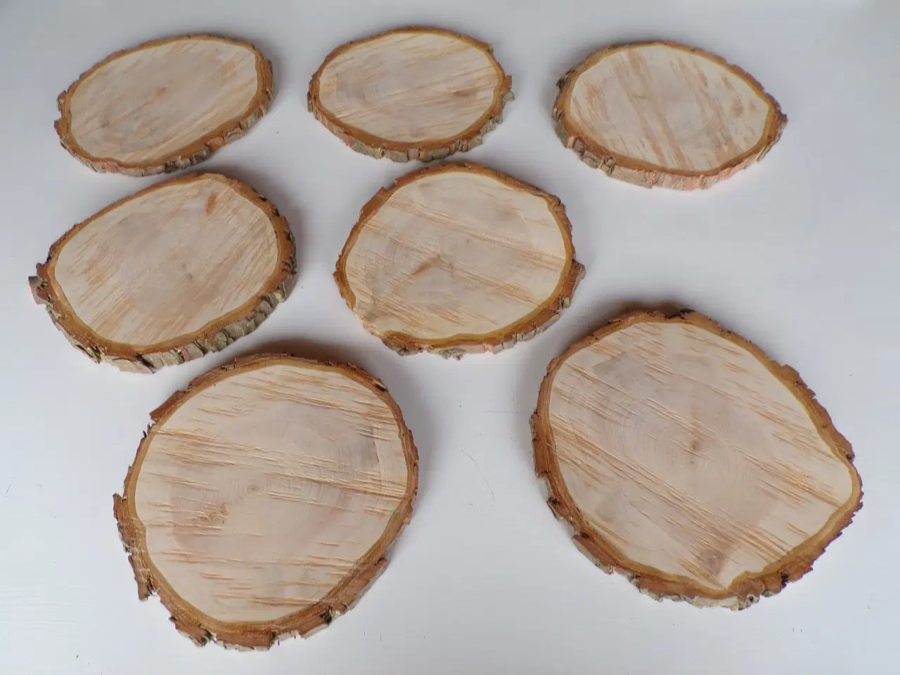 Billede 1 - Nye thuja træskiver 24 - 26 cm