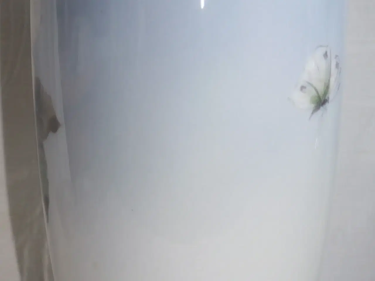 Billede 4 - Vase med blomstrende vildrose,