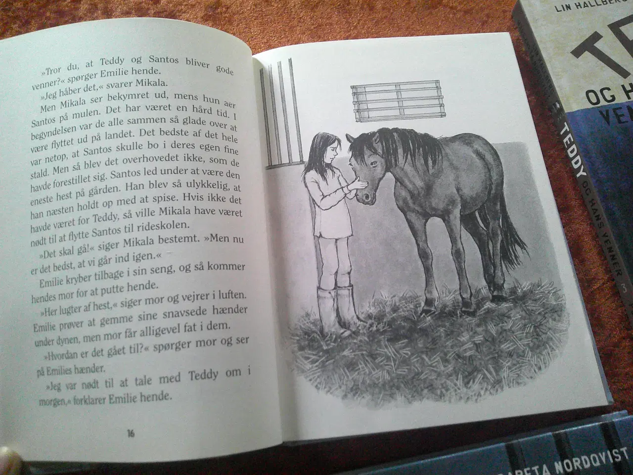 Billede 2 - Teddy,  Lin Hallberg