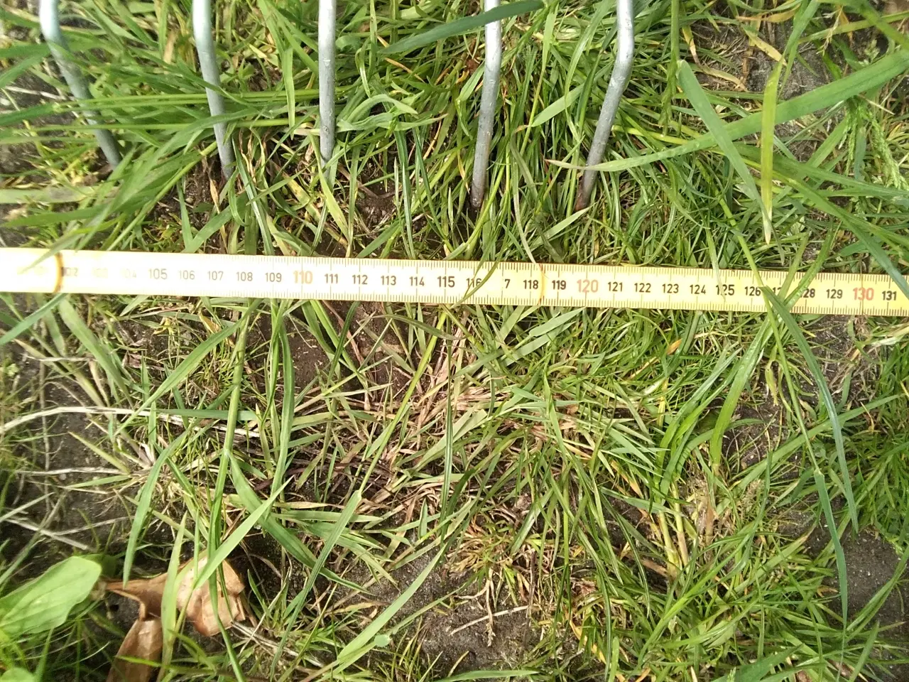 Billede 4 - 120 cm rive Byt m E-Bike E MTB Nyere Køreklar OK