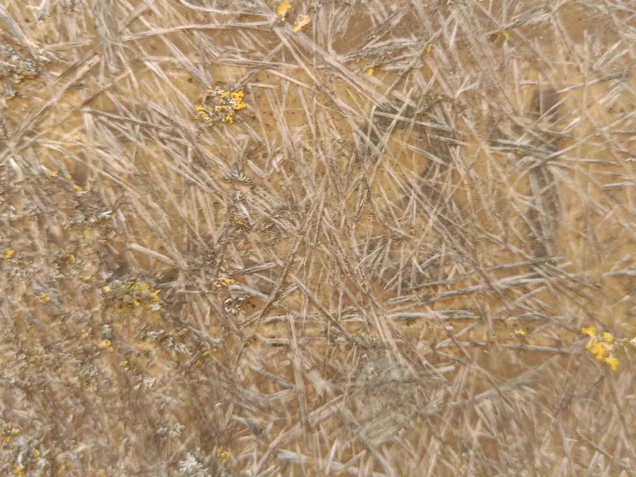 Billede 7 - MC 31 Glasfibersilo 31m3