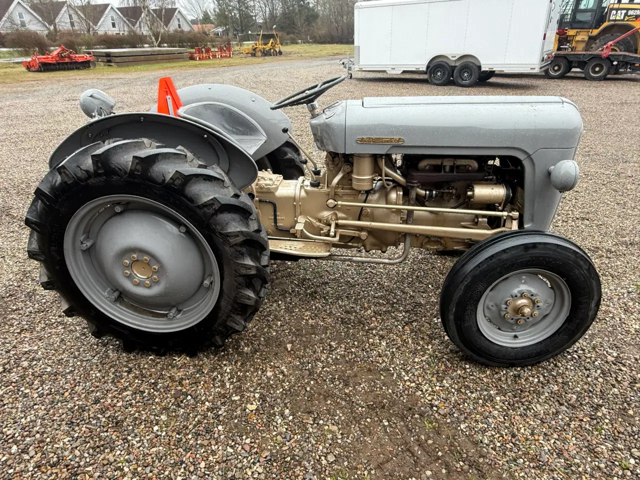 Billede 3 - Ferguson guldfugl