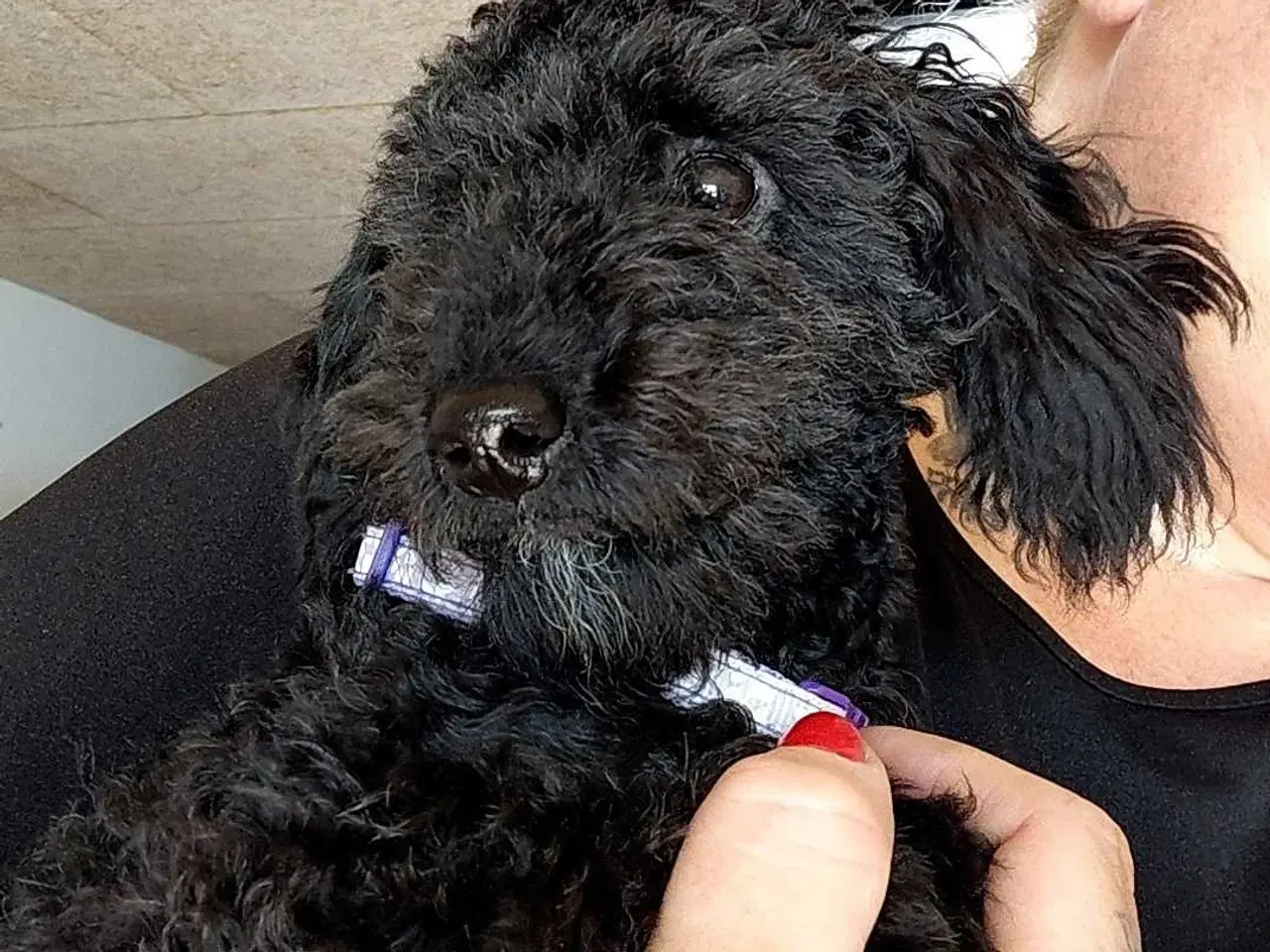 Billede 3 - Smukke Baby