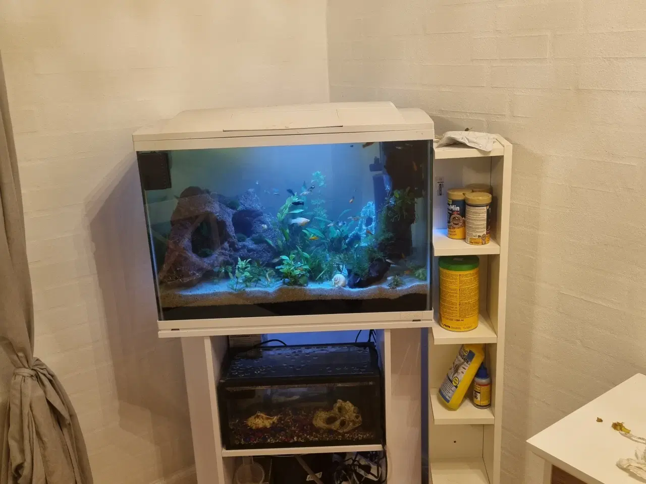 Billede 3 - Akvarium 100L SuperFish komplet setup 