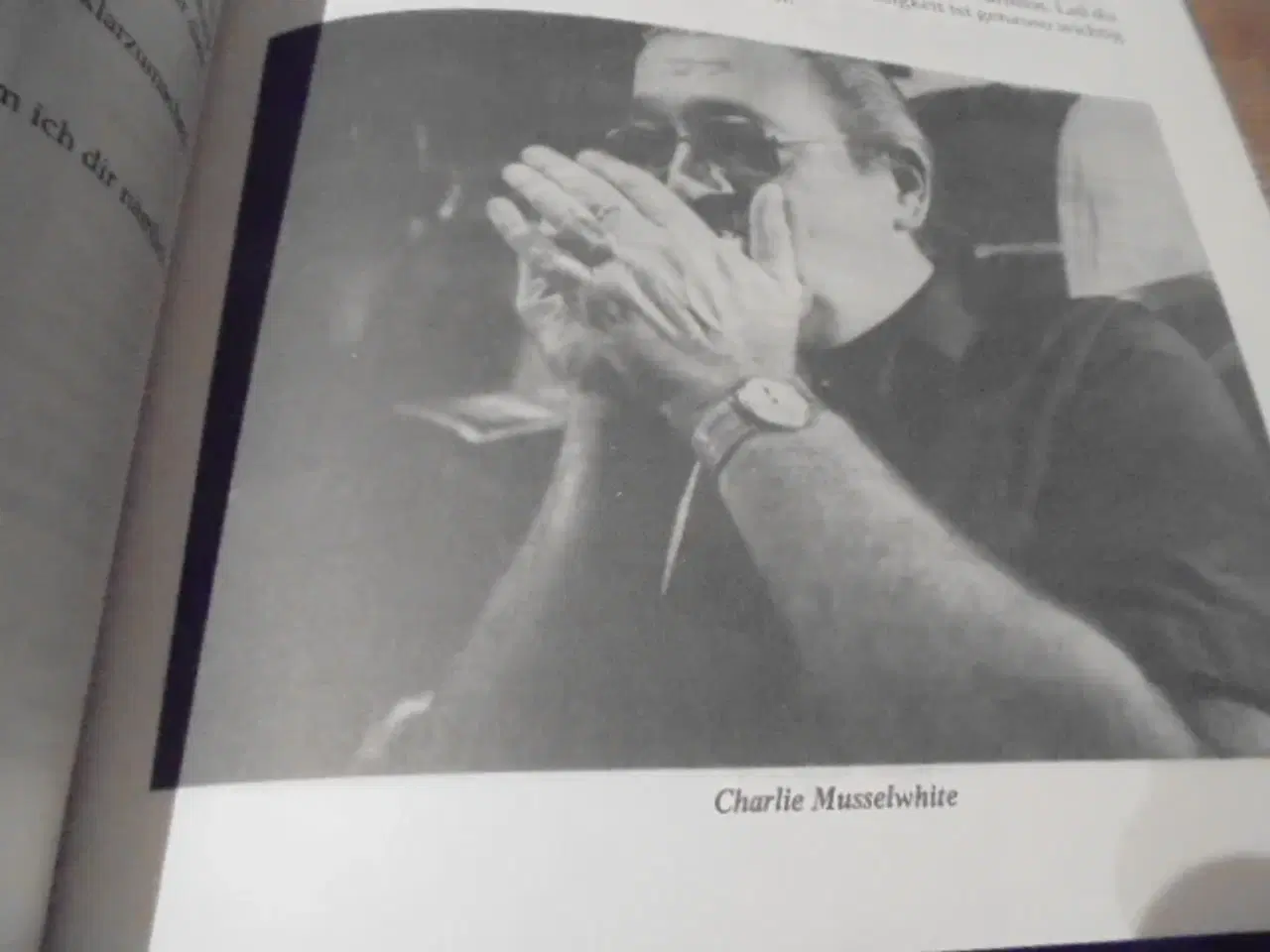 Billede 8 - Rock Blues Country Harp – også uden at kunne læse