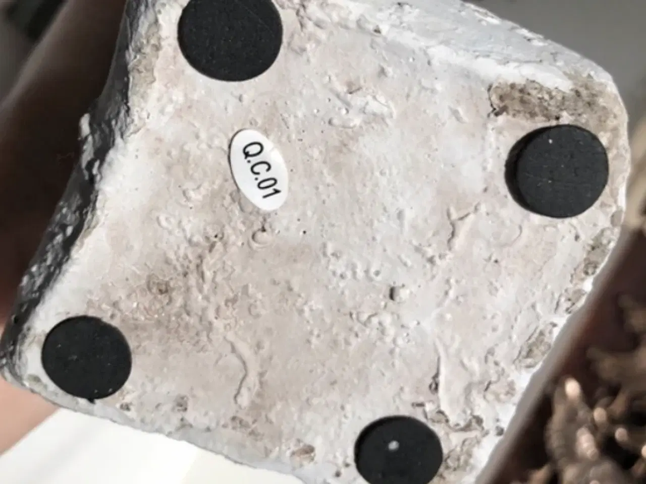 Billede 3 - 30 høj Mardonna 