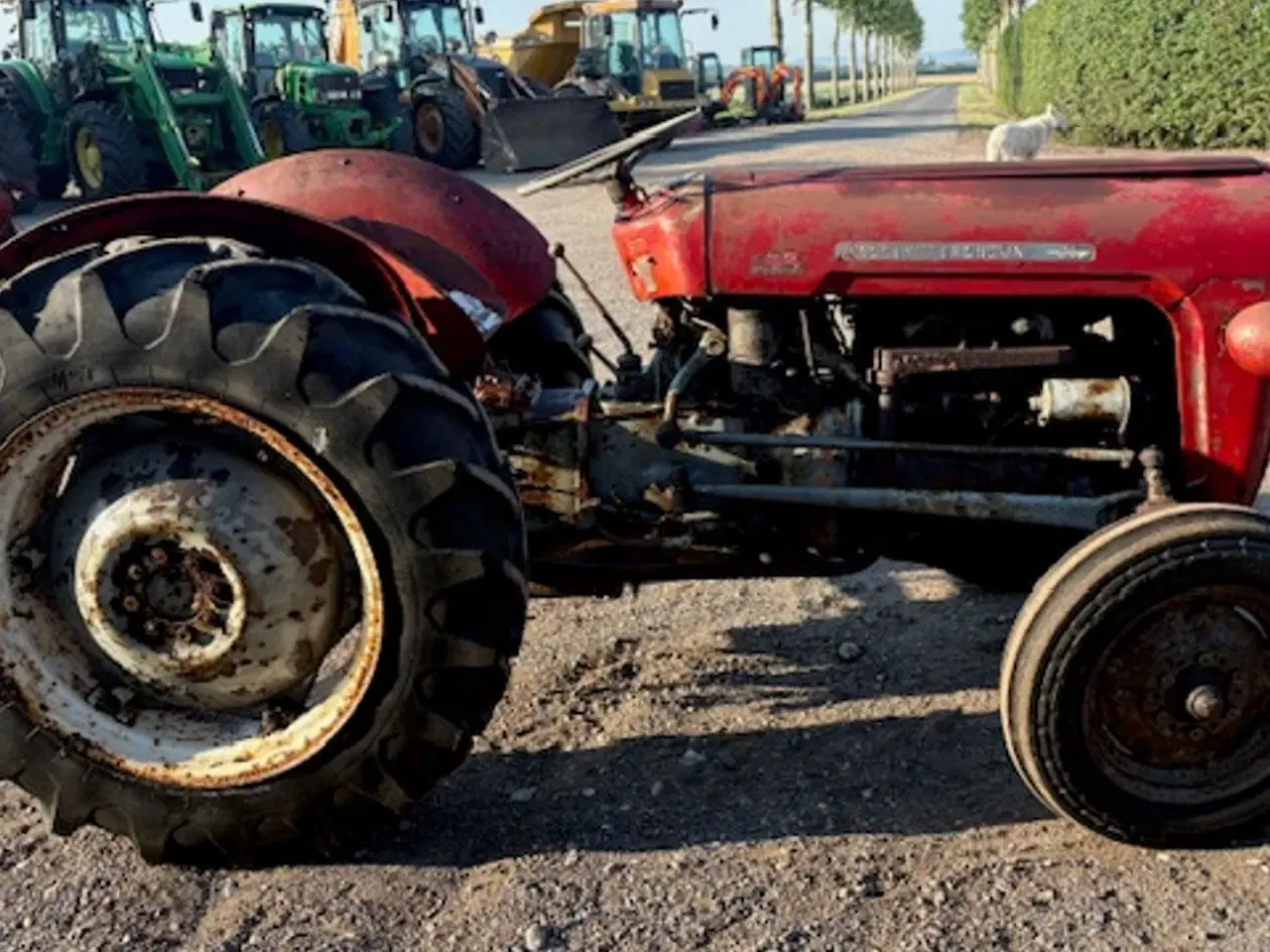 Billede 5 - Massey Ferguson 35 benzin