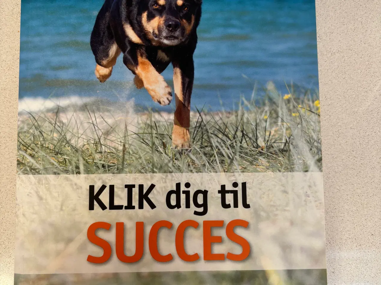 Billede 1 - Klik dig til succes - hundetræning