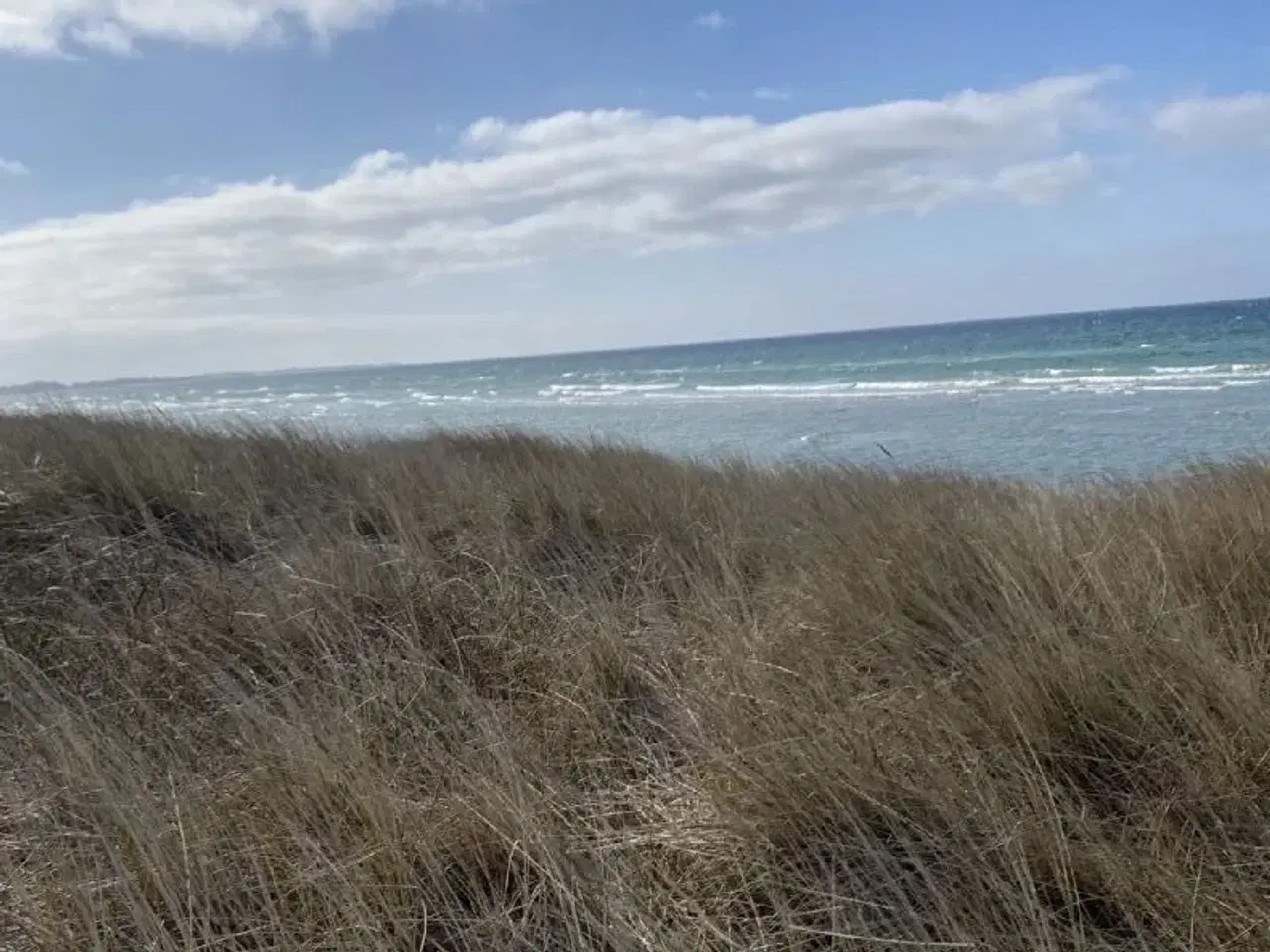 Billede 2 - Sommerhus ved Ristinge Strand