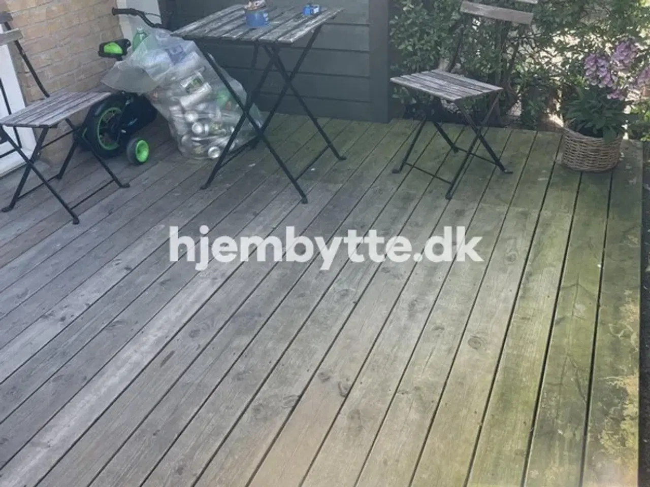 Billede 6 - Hjembytte - Hækmosen