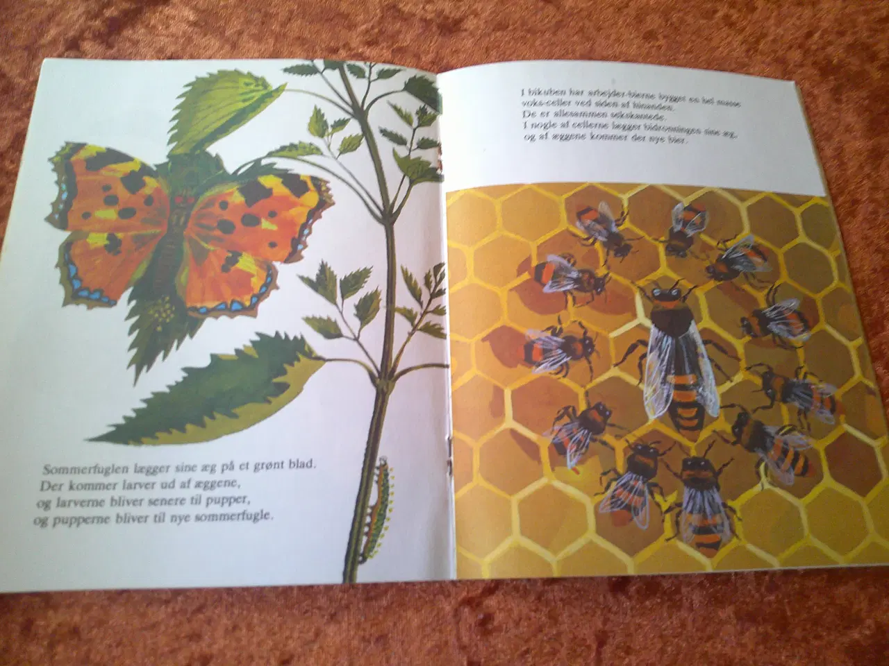 Billede 4 - Dyrenes børn, J.D. Bevington