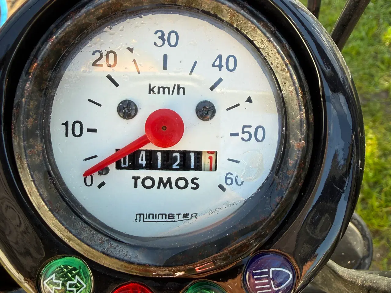 Billede 3 - Tomos standart. Dansk