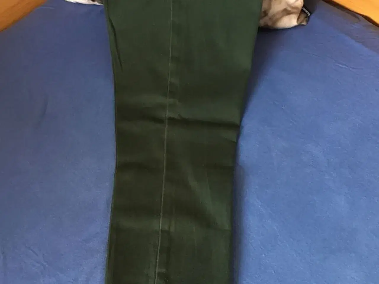 Billede 2 - Grøn bukser til salg