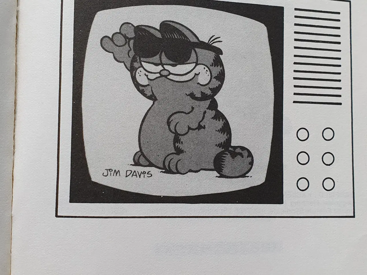 Billede 7 - Tegneserie garfield 