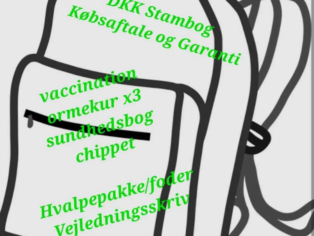 Billede 9 - Schæferhvalpe
