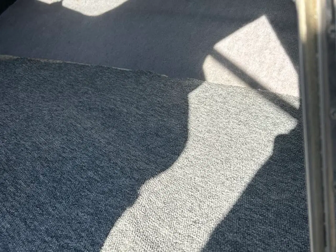 Billede 5 - campion 185 med 115 hk yamaha 4 takter