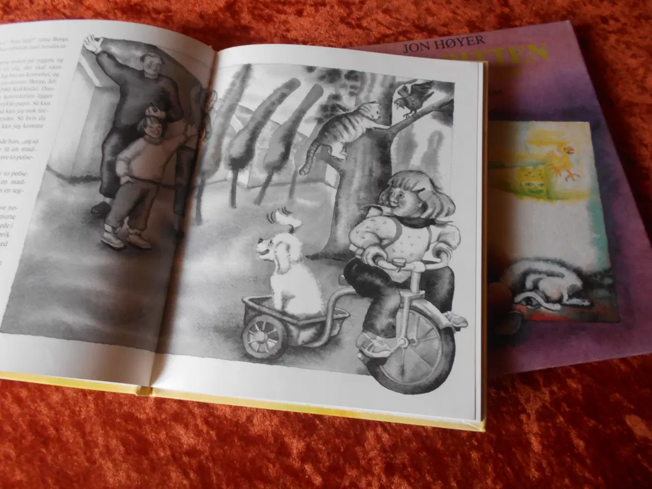 Billede 2 - Lille Bitten, Jon Høyer,