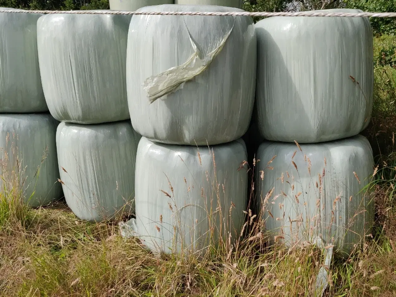 Billede 5 - Ø 60 Wrap baller