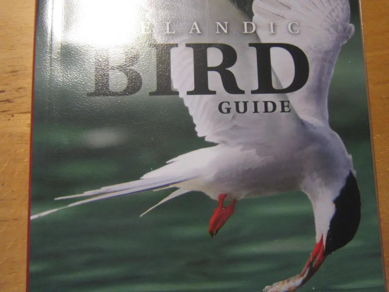 Billede 1 - Fuglebog om Island