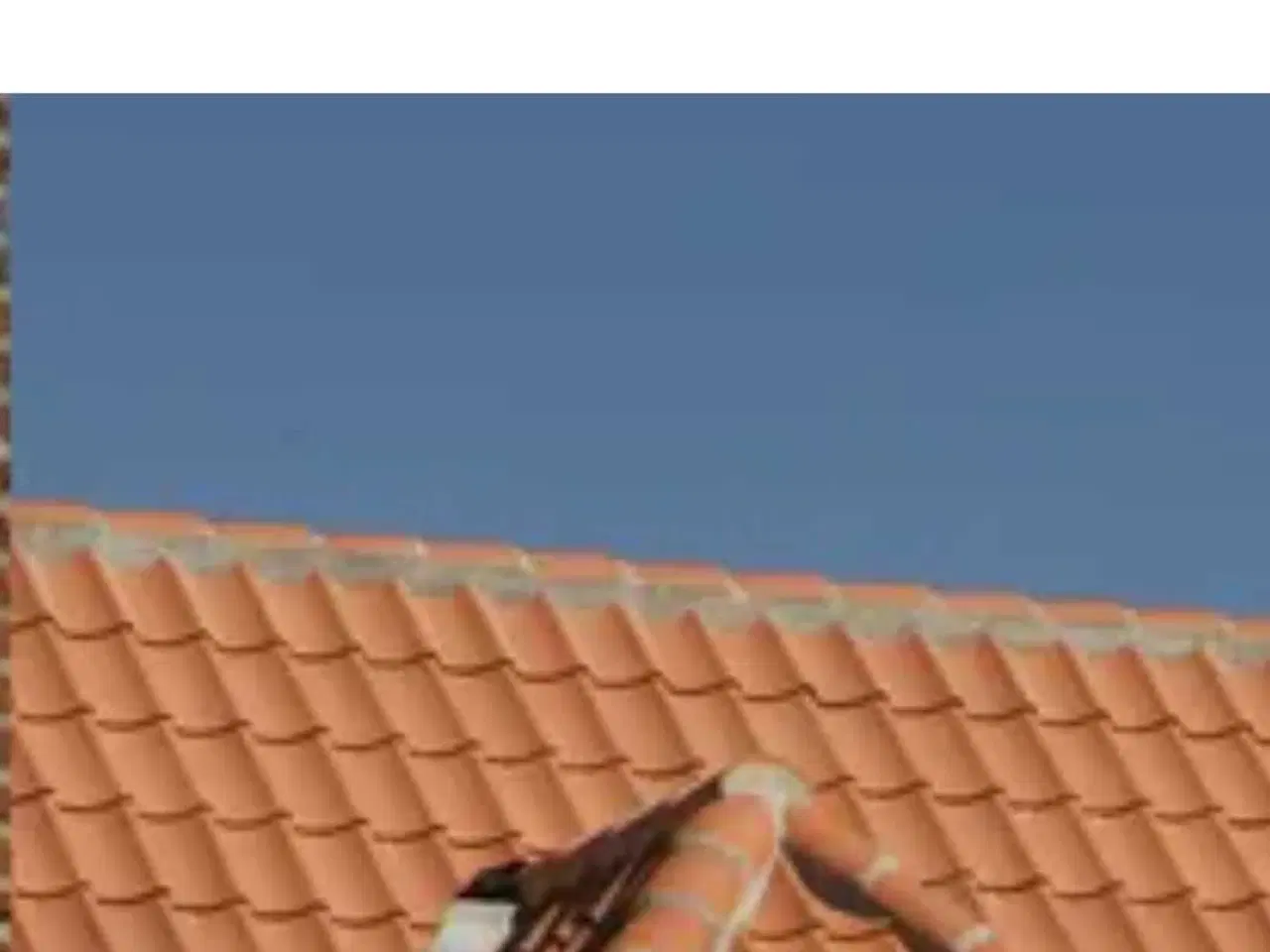 Billede 6 - Tegl tagsten rød model Gammel Dansk