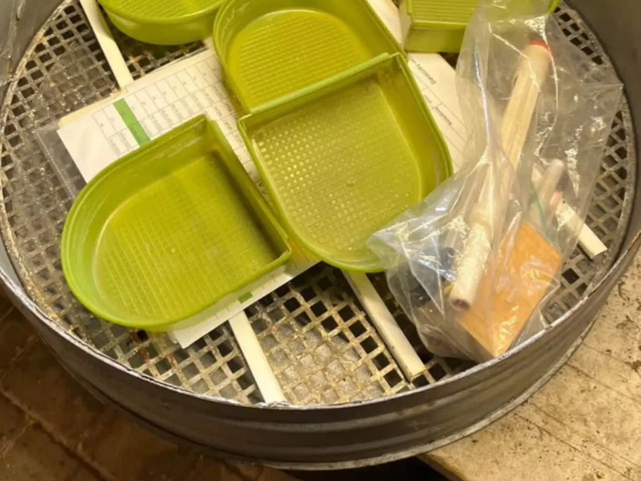 Billede 1 - Fladruger Amerika