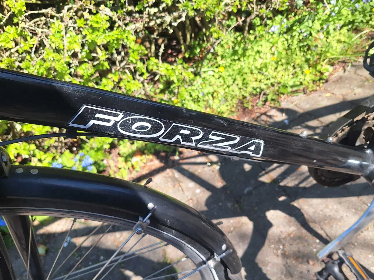 Billede 2 - Forza herrecykel 61cm