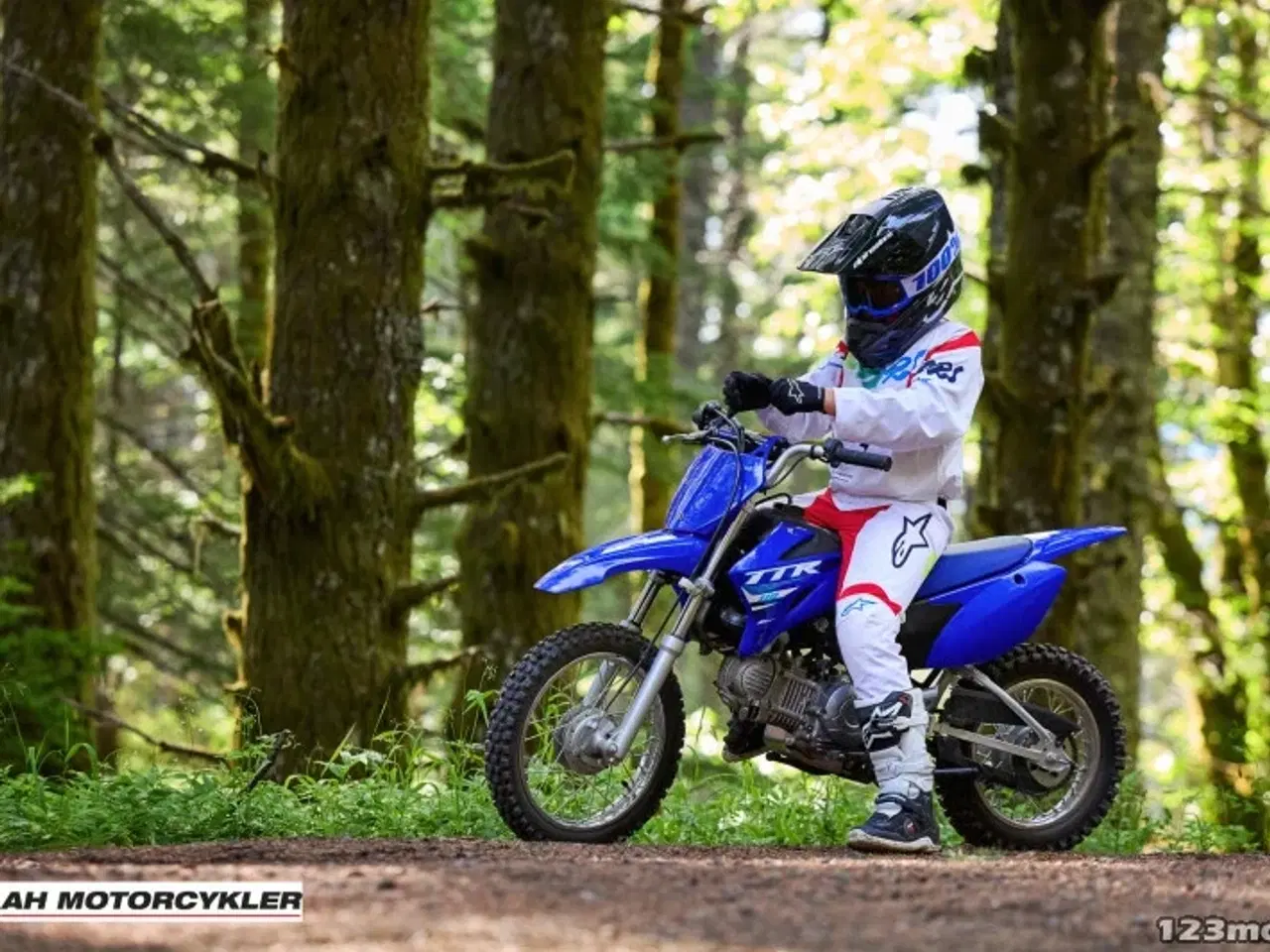 Billede 8 - Yamaha TTR 110