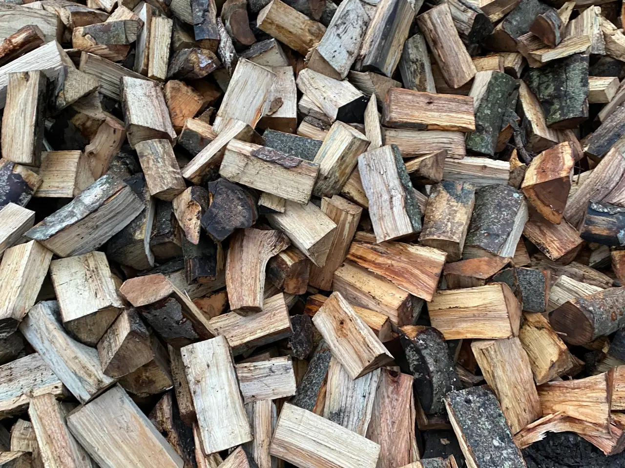 Billede 1 - Bøgebrænde sælges