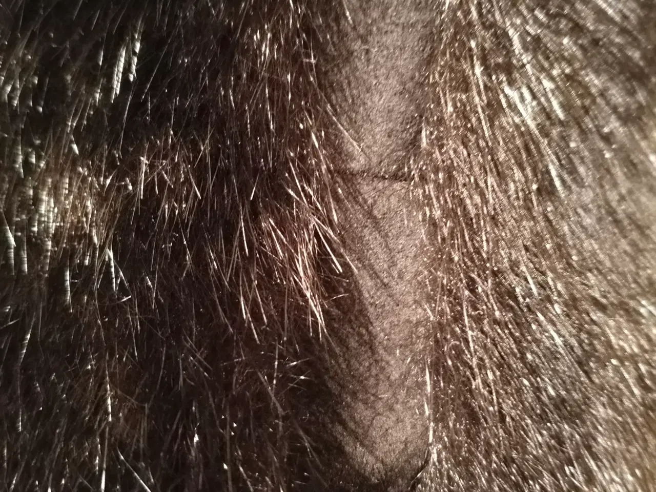 Billede 4 - Pelsjakke med ruskindsbælte