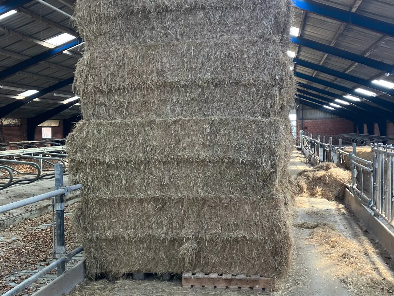 Billede 1 - Hø i minibig