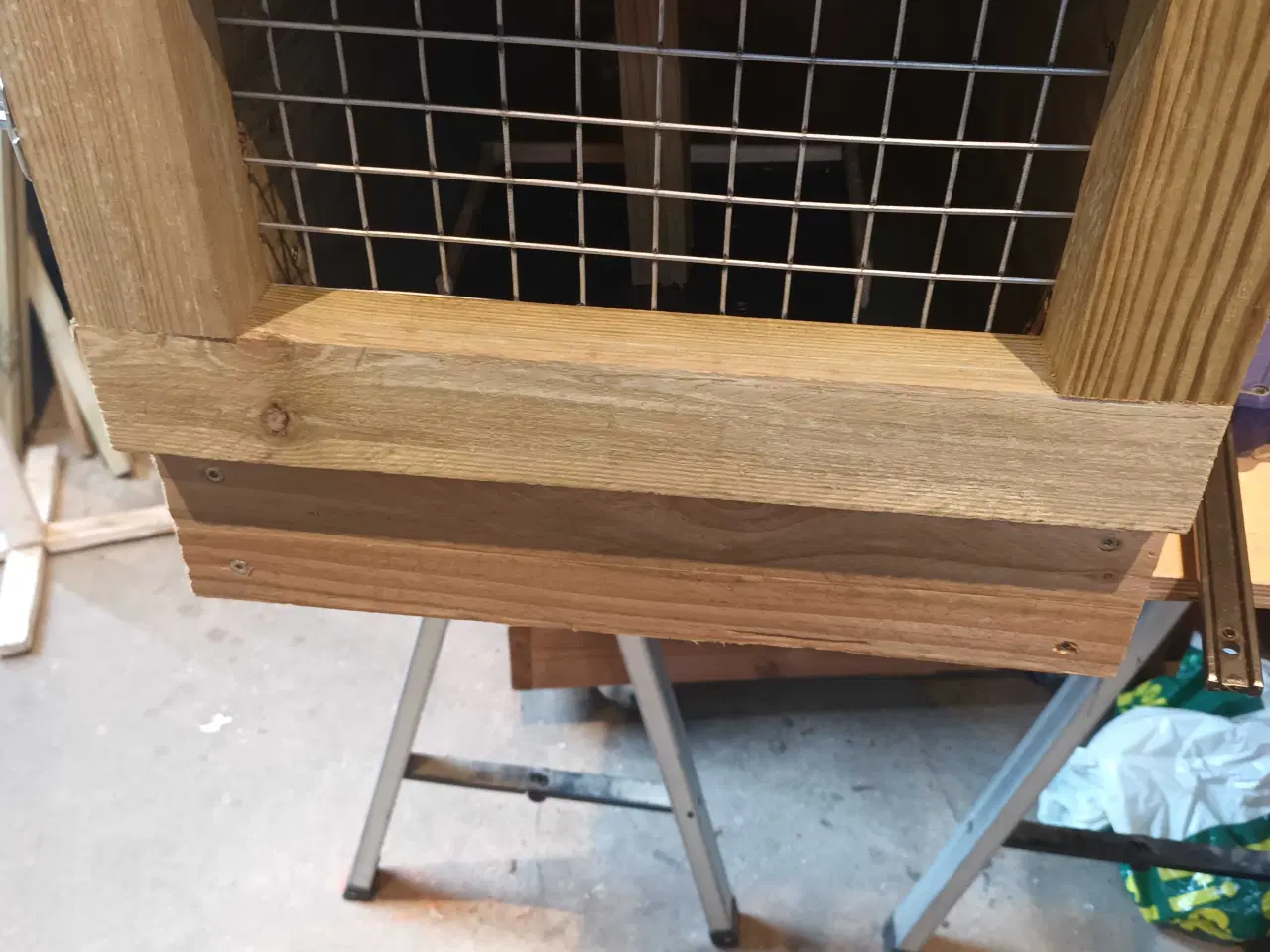 Billede 2 - Mårhund hvalpe fælde