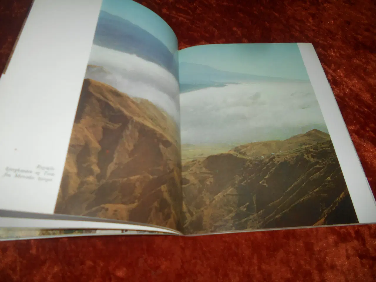 Billede 4 - Opdag Tenerife, Domingo Manfredi Cano,