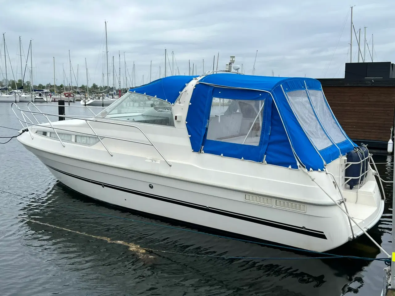 Billede 1 - Marex 290 Sun Cruiser - Købsaftale underskrevet