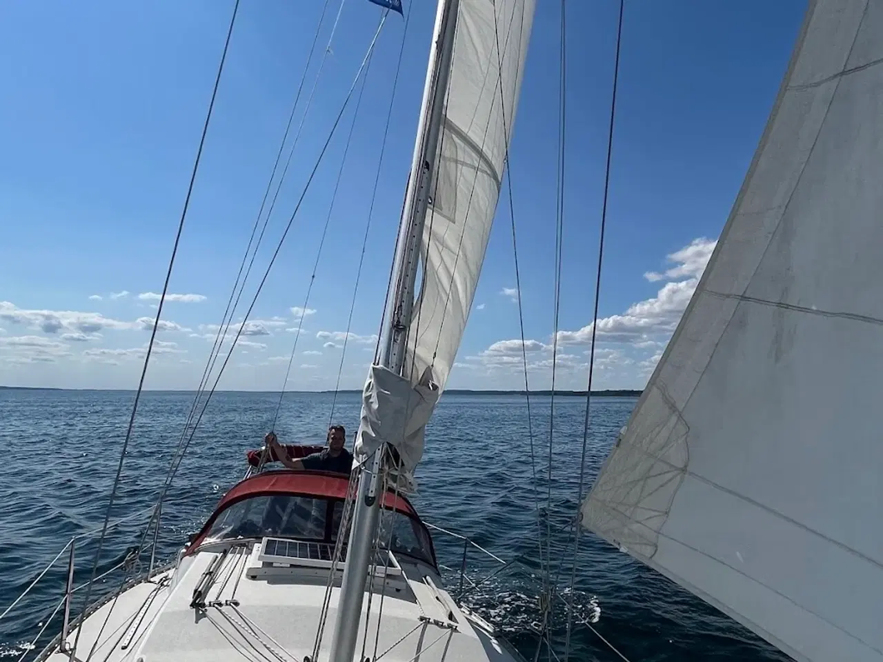 Billede 7 - Albin Scampi 30 skarp pris