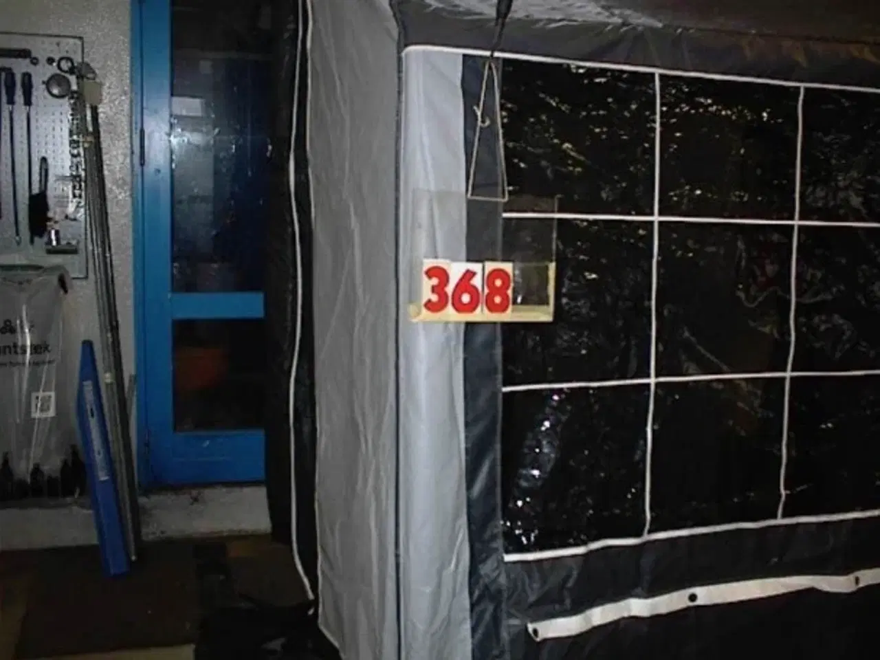 Billede 1 - Isabella Eskimo