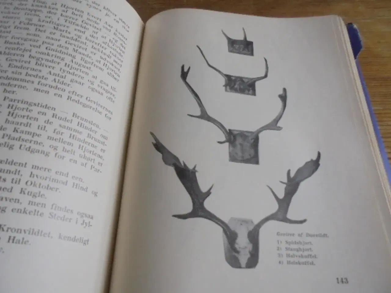 Billede 10 - Hvad enhver jæger bør vide (1. udgave 1935)  
