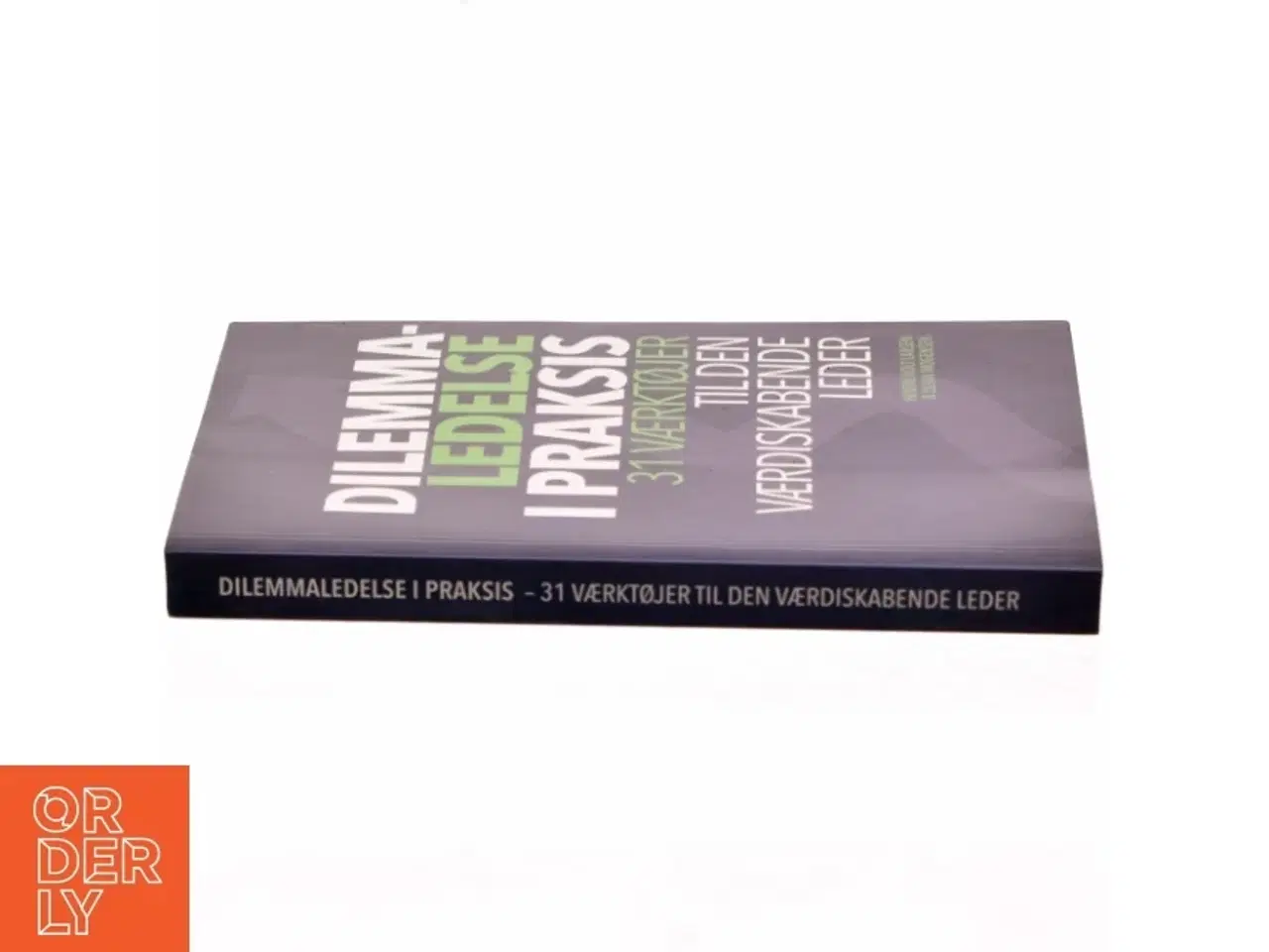 Billede 2 - Dilemmaledelse i praksis : 31 værktøjer til den værdiskabende leder : en know-what, know-why og know-how bog for reflekterende praktike