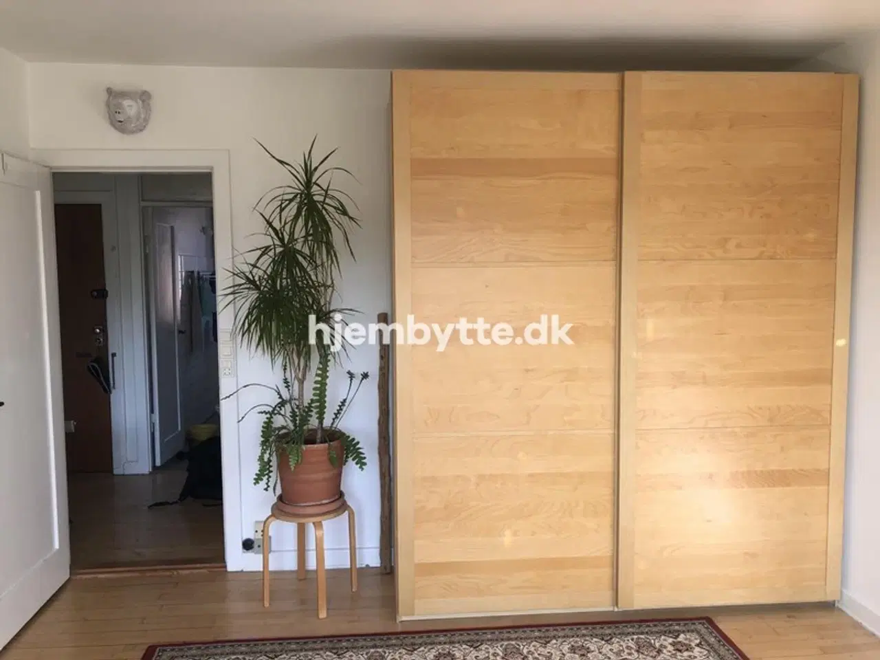 Billede 5 - Hjembytte - Hellebækgade
